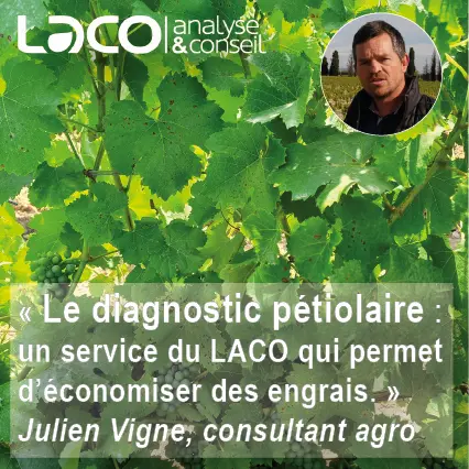 Le diagnostic pétiolaire pour optimiser les engrais