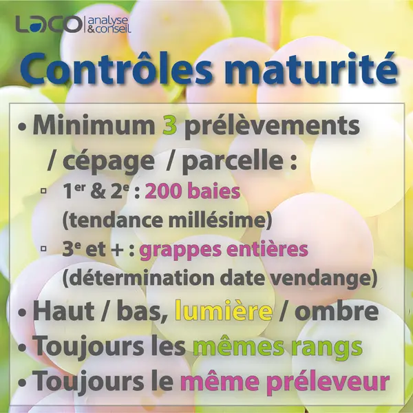 Du bon usage des analyses de maturité