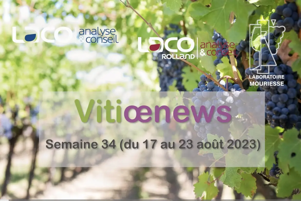 Vitiœnews de la semaine 34