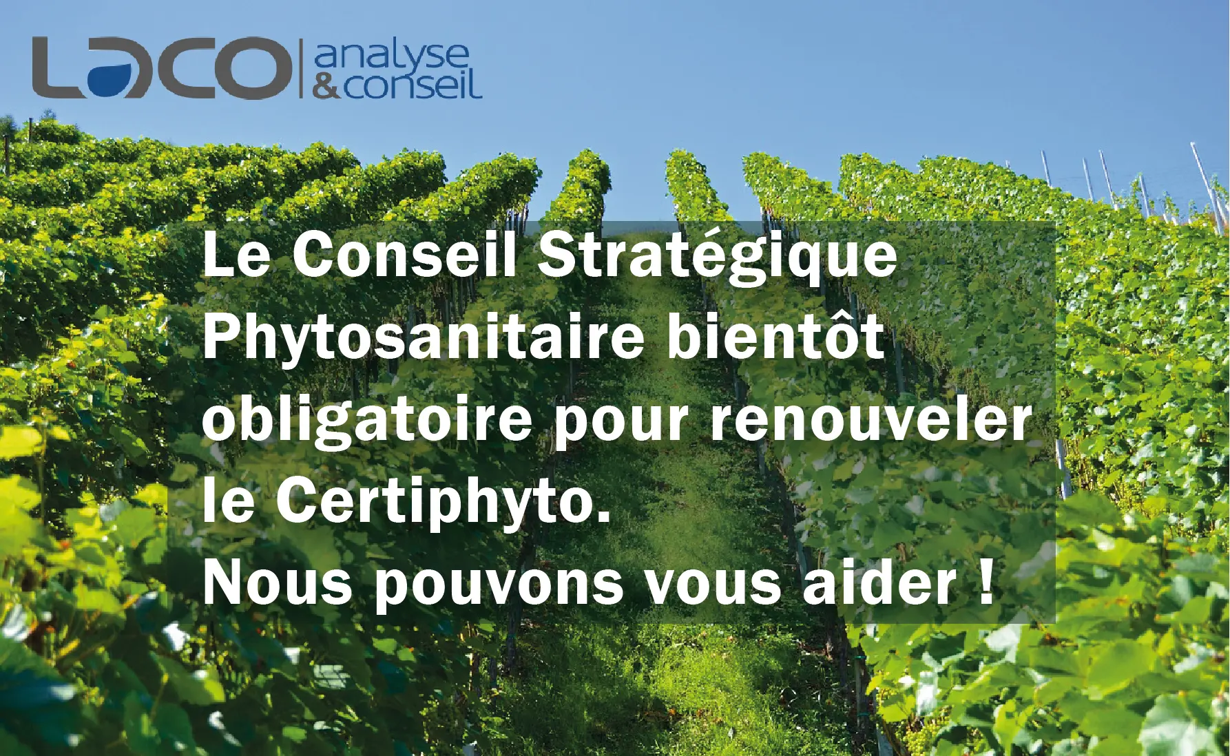 NOUVEAU SERVICE : le Conseil Phytosanitaire Stratégique